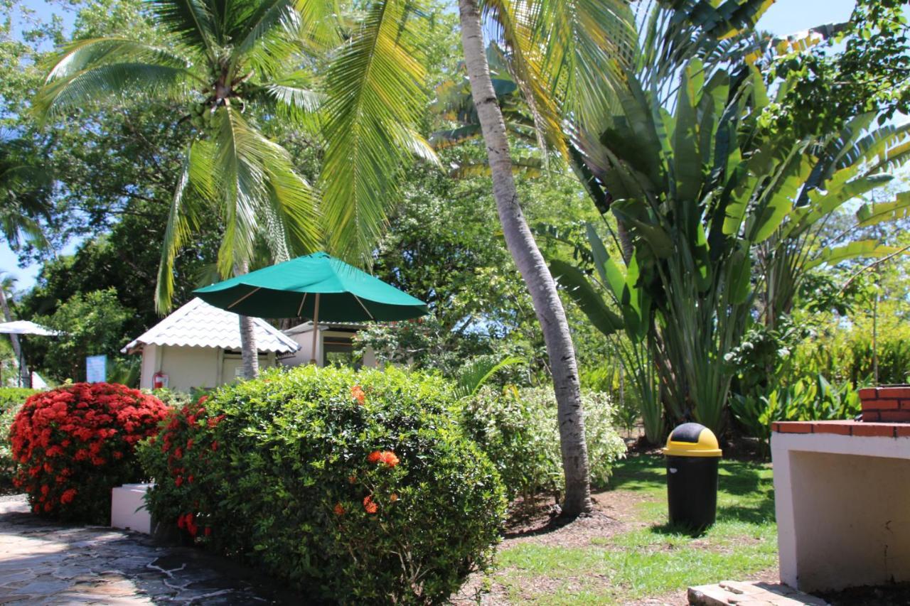 Tropical Bliss Pool Wi-Fi Bbq Near Quepos Manuel Antonio Apartman Kültér fotó